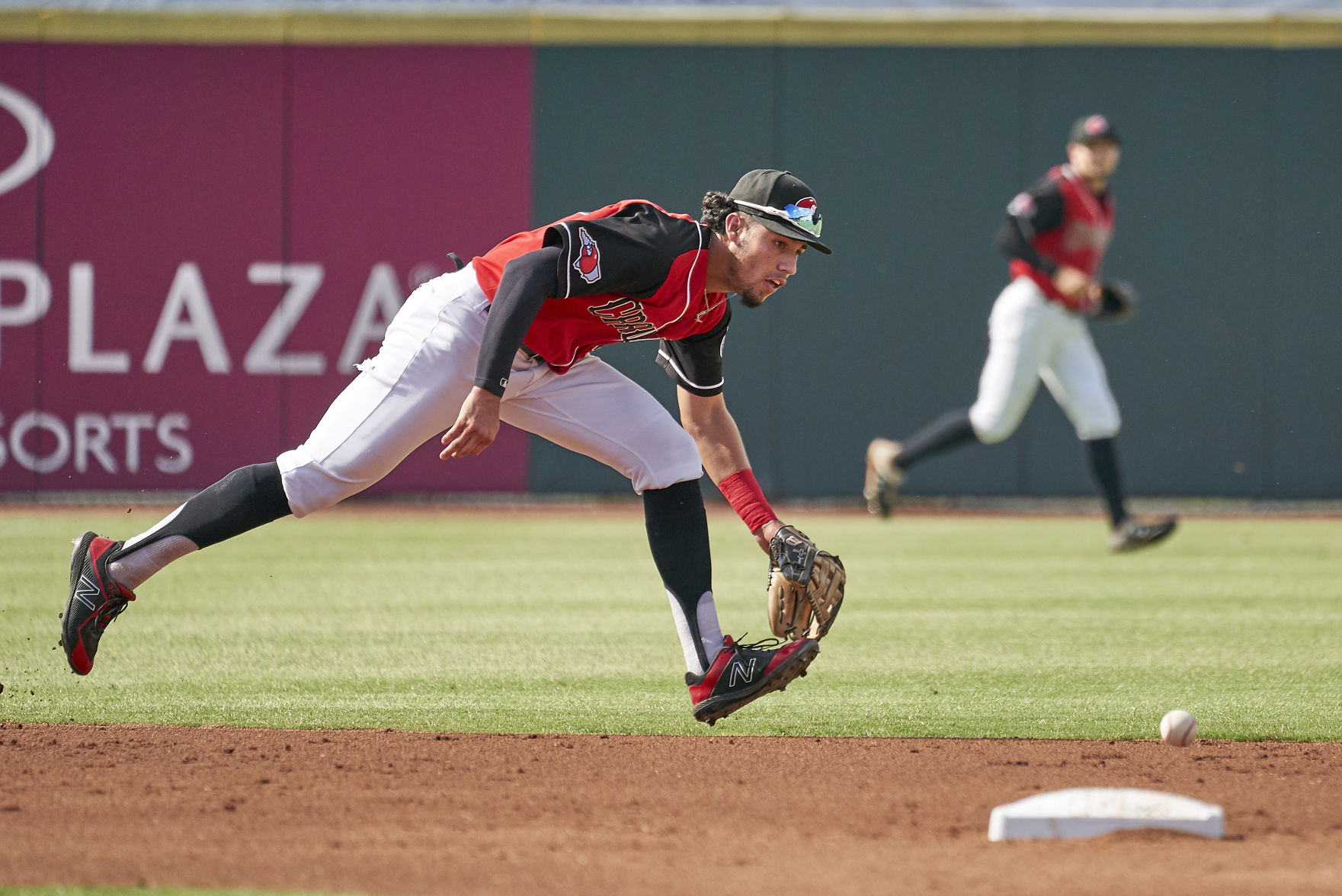 20190707 Crawdads 5.jpg